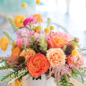 Meet your Posher, Eliza